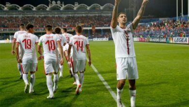 Mitrović od ljeta u Totenhemu?