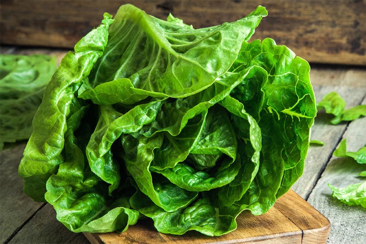 Sve dragocjenosti zelene salate