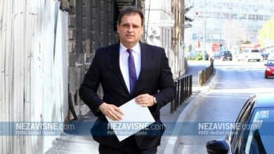Govedarica: Rekao sam Hanu da smo čudna zemlja