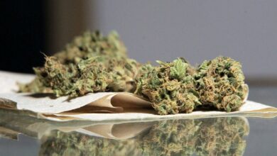 Kod dva Banjalučanina pronađena marihuana