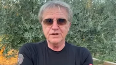 BESPARICA ĆE NAS UNIŠTITI Jedemo ŽIVOTINJSKI OTPAD koji u Evropi bacaju i koji IZAZIVA KARCINOM