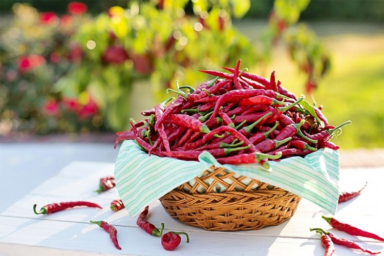 Ljuta paprika usporava širenje raka pluća
