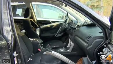 Medvjed ušao u auto, pogledajte šta je ostalo