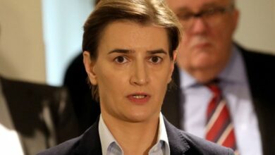 Brnabić: Srbiji ne mogu da se serviraju gotova rješenja
