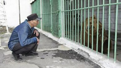 Među najopasnijim zatvorenicima doživotnu kaznu služi i medvjedica Katja