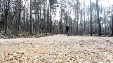 BISER GRADA Talić poručio da Suturlija ima potencijal da postane porodična, rekreativna i turistička oaza