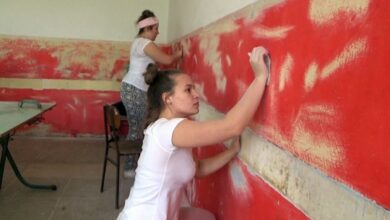 Volonteri iz Holandije sređuju školu u Sanskom Mostu