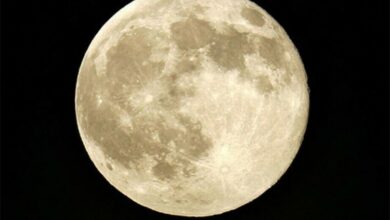 NASA: Mjesec se smanjuje kao što se skupljaju bobice grožđa