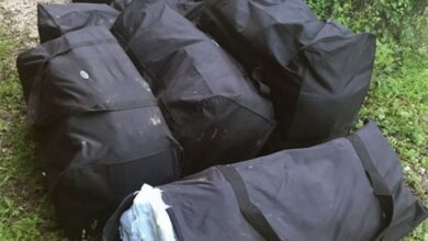 Pronađeno 205 kilograma marihuane