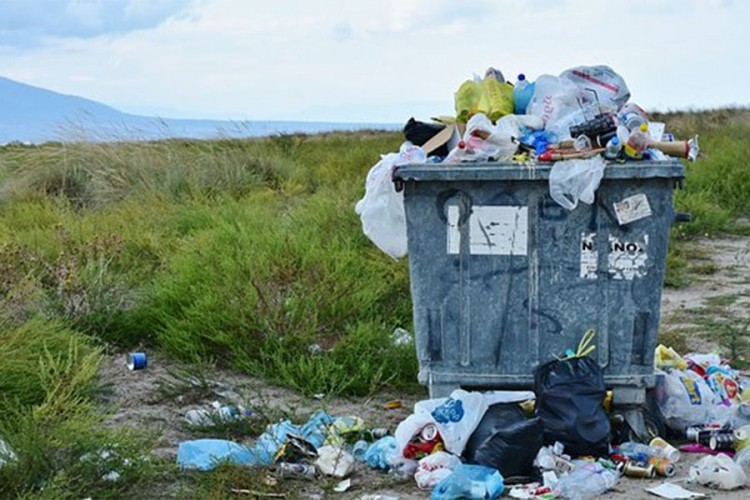 Trećina hrane u svijetu završi u smeću