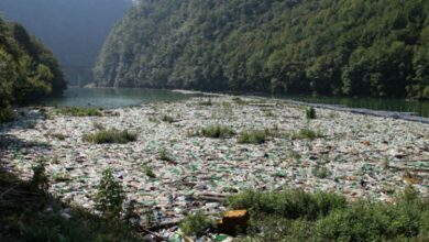 Problem plutajućeg otpada u Vrbasu: Institucije FBiH se nisu odazvale pozivu na sastanak