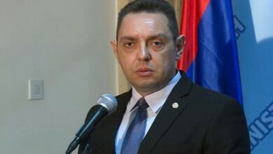 Vulin: Srpska je strateški i spoljnopolitički prioritet Srbije