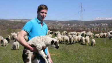 Sa 24 godine ima stado od 200 ovaca i vinograd od 3.000 trsova