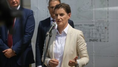 Brnabić: U kvazidržavi Kosovo se ne zna ko pije, a ko plaća