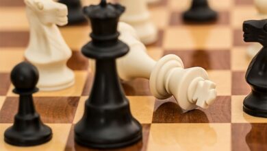 Anatolij Karpov odigrao šahovsku simultanku u Trebinju