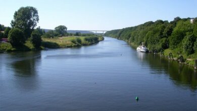 Džinovske slatkovodne vrste na ivici izumiranja