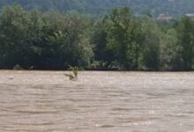Pokušao prokrijumčariti migrante čamcem preko Drine, pa uhapšen
