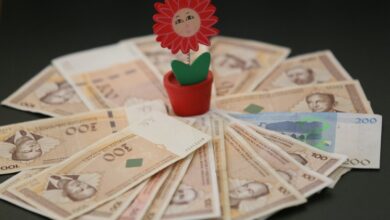 Građani BiH u bankama drže 12,8 milijardi KM