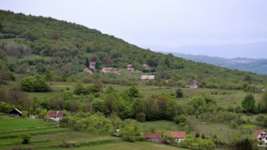 Jednog komšiju ubila struja, drugi umro u šumi