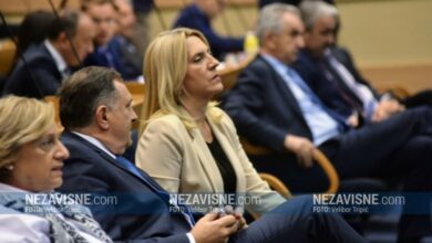 Cvijanović: SNSD ne bježi od svog dijela odgovornosti za prenesene nadležnosti