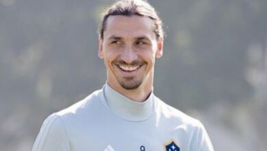 Ibrahimović zbog Mihajlovića bira Bolonju prije Napolija i Milana?