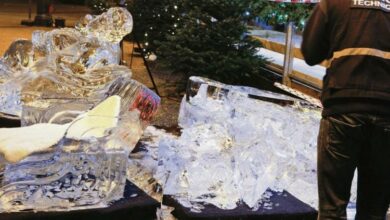 Dječaka iz Srbije usmrtila ledena skulptura