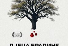 Besplatna projekcija dokumentarnog filma 'Djeca Bradine' u Trebinju