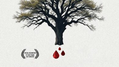 Besplatna projekcija dokumentarnog filma 'Djeca Bradine' u Trebinju