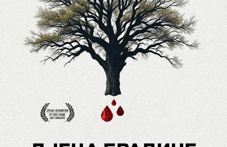 Besplatna projekcija dokumentarnog filma 'Djeca Bradine' u Trebinju