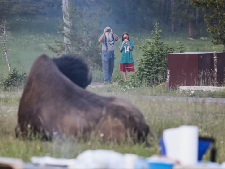 Bizon napao starijeg muškarca u Nacionalnom parku Yellowstone, teške povrede