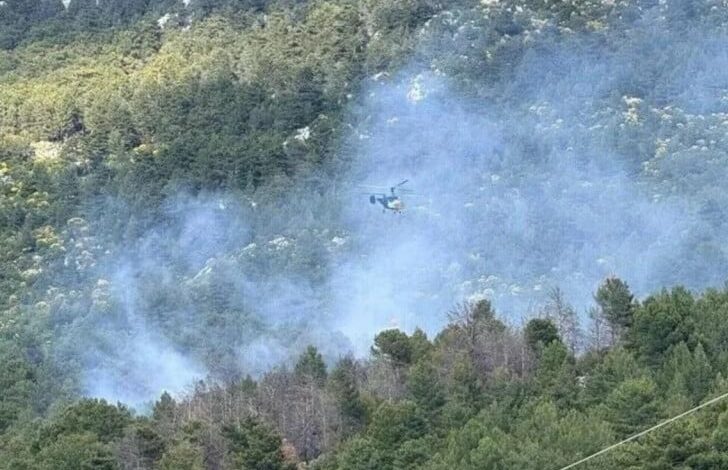 Veliki šumski požar izbio kod Antalije, angažovani helikopteri i avioni