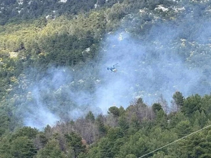 Veliki šumski požar izbio kod Antalije, angažovani helikopteri i avioni