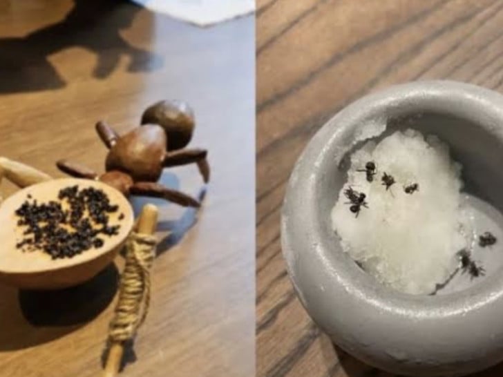Vlasnik restorana sa dvije Michelin zvjezdice suočava se sa zatvorom zbog posluživanja mrava