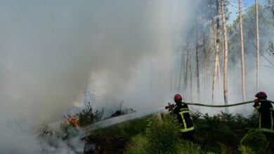 Požari u Francuskoj ponovo bukte, Makron najavljuje teške sedmice