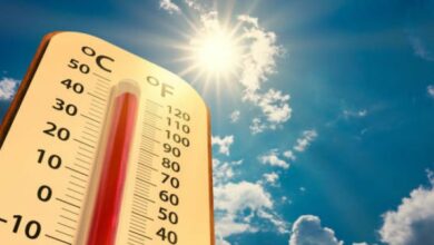 Toplotni talas u Turskoj donosi temperature i do 50 stepeni