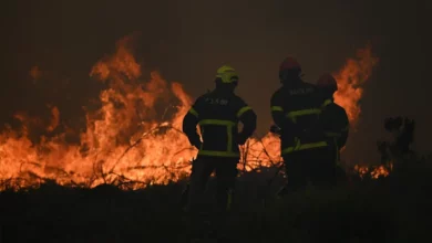 Španija zabilježila prvu smrt u šumskim požarima, borba se nastavlja