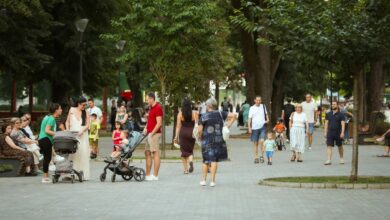 Subotnje porodično druženje u Parku Mladen Stojanović