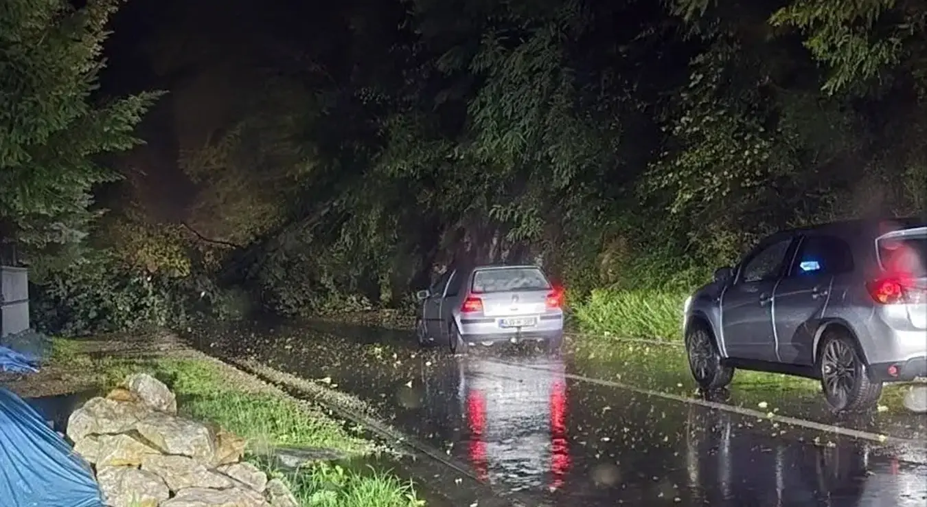 Oluja i grad poharali Zvornik: Oborena stabla i nestanci struje