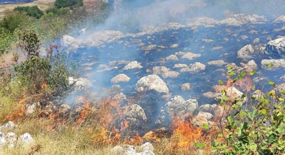 Ujedinjeni požari na Korčuli: Više od 150 vatrogasaca u borbi s vatrenom stihijom