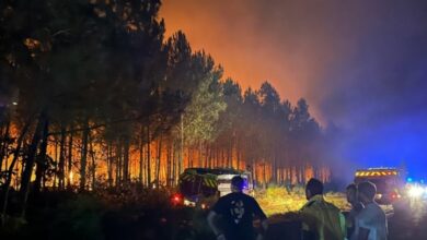 Požari u Bordou: Srbi svjedoče o strahu, dimu i spremnim koferima za bijeg