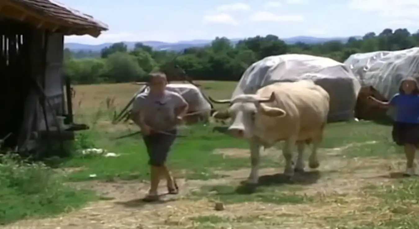 Od malog domaćina do srećnog oca: životna priča Milije Jelića