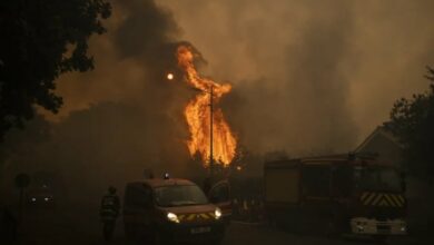 Pozari u okolini Bordoa i dalje nepod kontrolom, evakuisano 220.000 ljudi