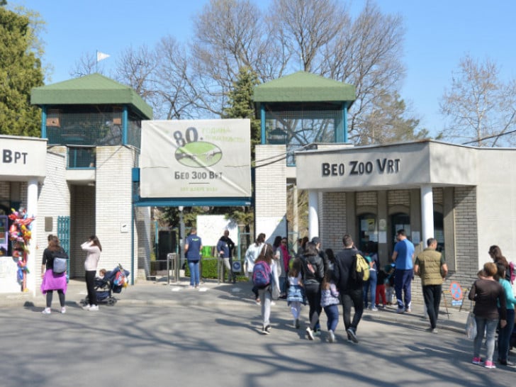 Devedeset godina Beogradskog zoološkog vrta: Od vizije industrijalca do simbola prestonice