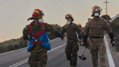 Trojica vatrogasaca stradala u šumskim požarima na Kritu i Peloponezu