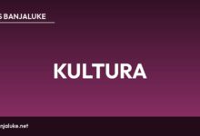 “Mulat albino komarac” pred čitaocima