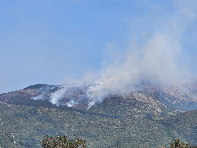 Vukadin: požar na Trebeviću gase i radnici „Šumarstva“