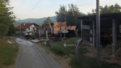 Vranić kod Kotor Varoša: Vatra odnijela 30 ovaca i sedam koza