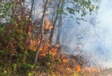 Vatrogasci u Banjaluci gasili šest požara