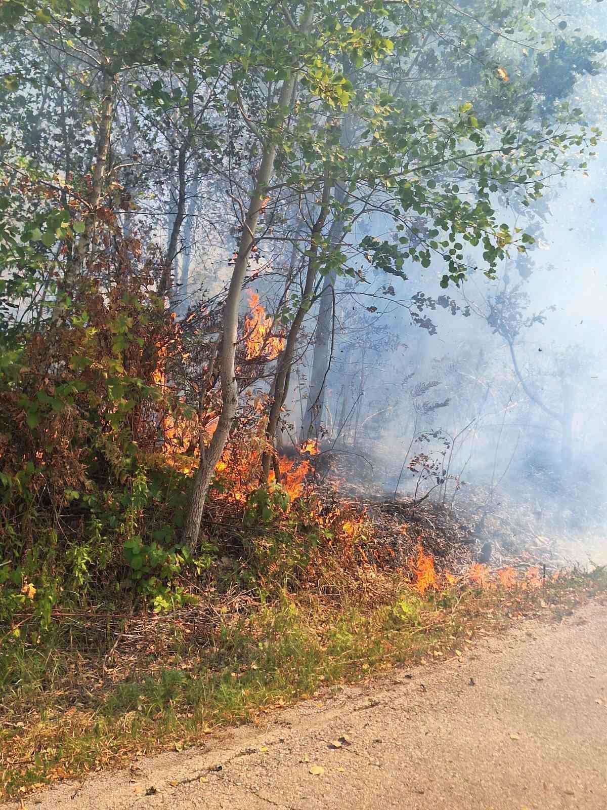 Vatrogasci u Banjaluci gasili šest požara