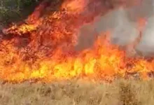 Vatra prijeti kućama u Nevesinju